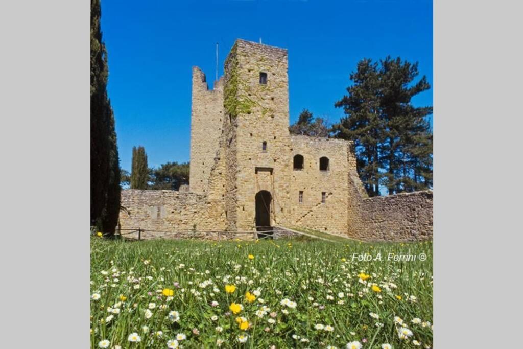 Villa Liz Tuscany, Private Pool, Hot Tub, Property Fenced, Pets Allowed Poppi Exterior foto