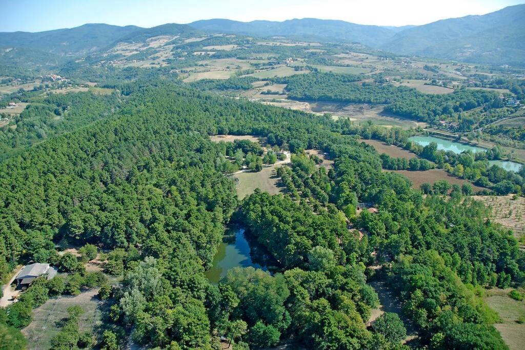 Villa Liz Tuscany, Private Pool, Hot Tub, Property Fenced, Pets Allowed Poppi Exterior foto